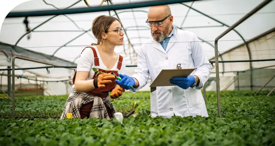 sustainable food trends