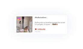 Brand Comparison