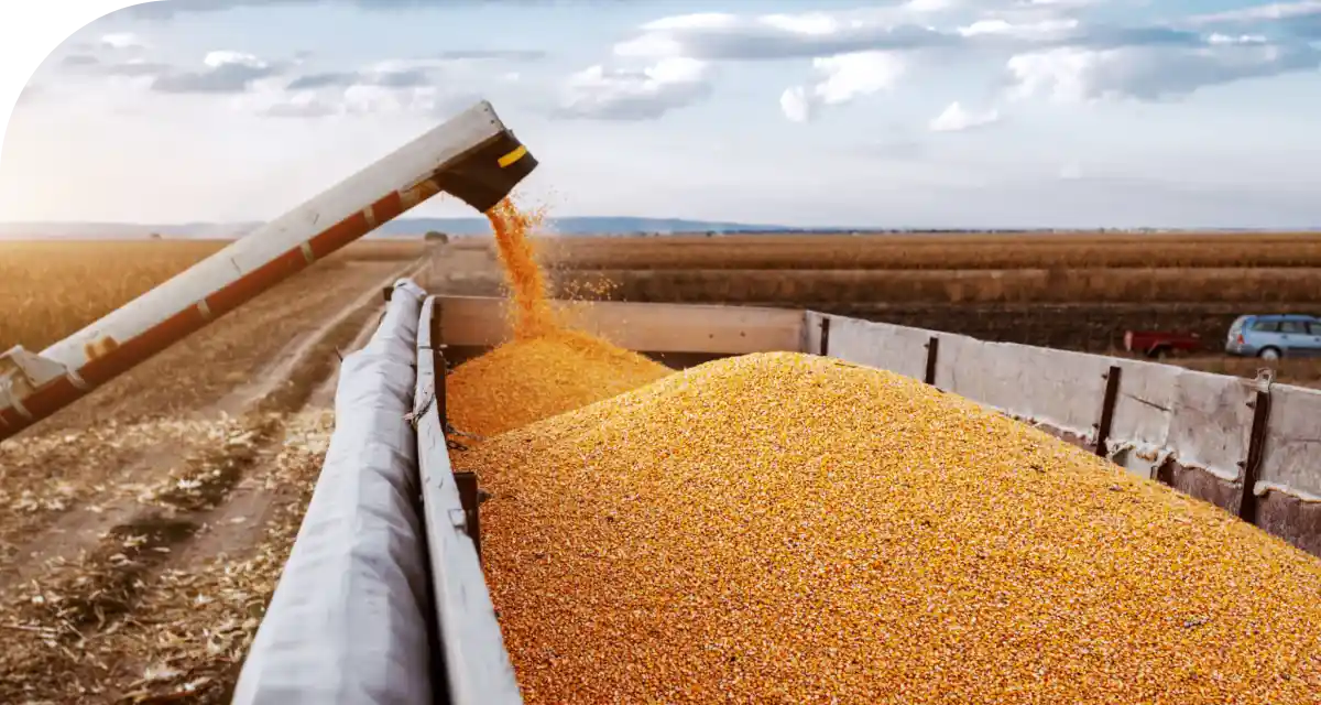 ai in food supply chain