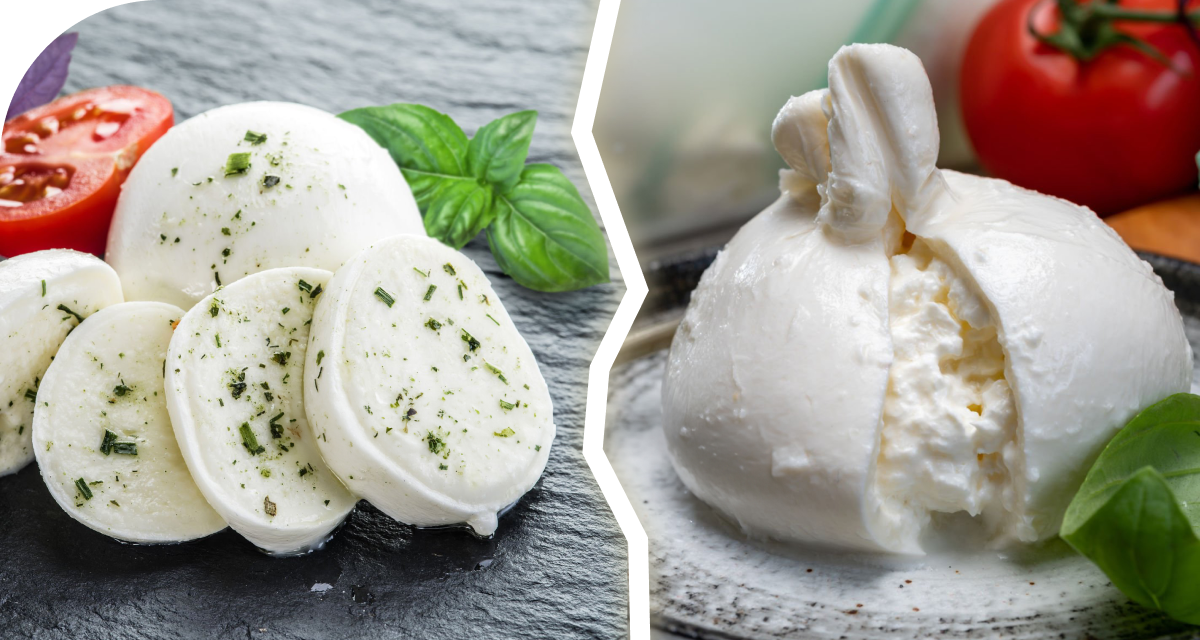 Blog image Mozzarella vs Burrata