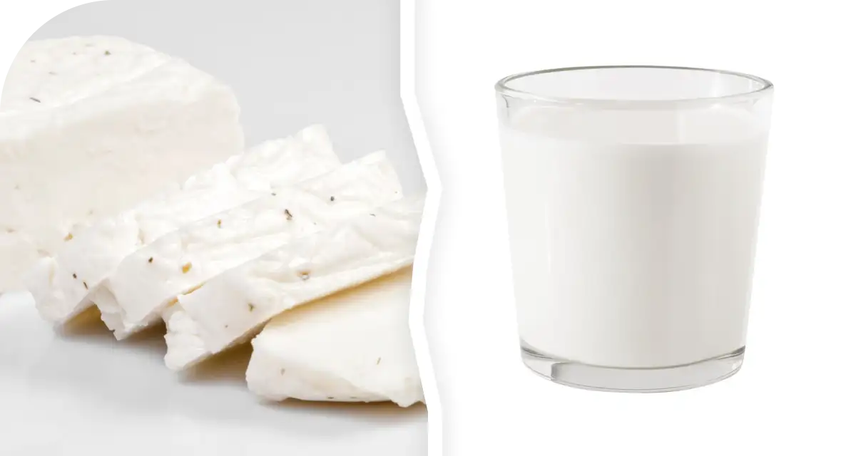 Cheese-vs-Milk