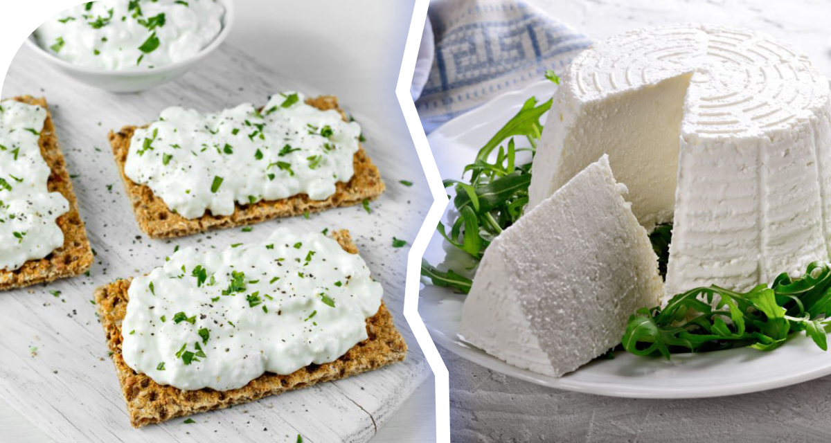 Blog image Cottage Cheese vs Ricotta