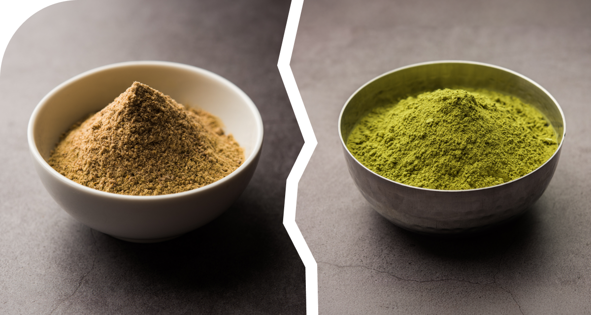 Hojicha vs Matcha
