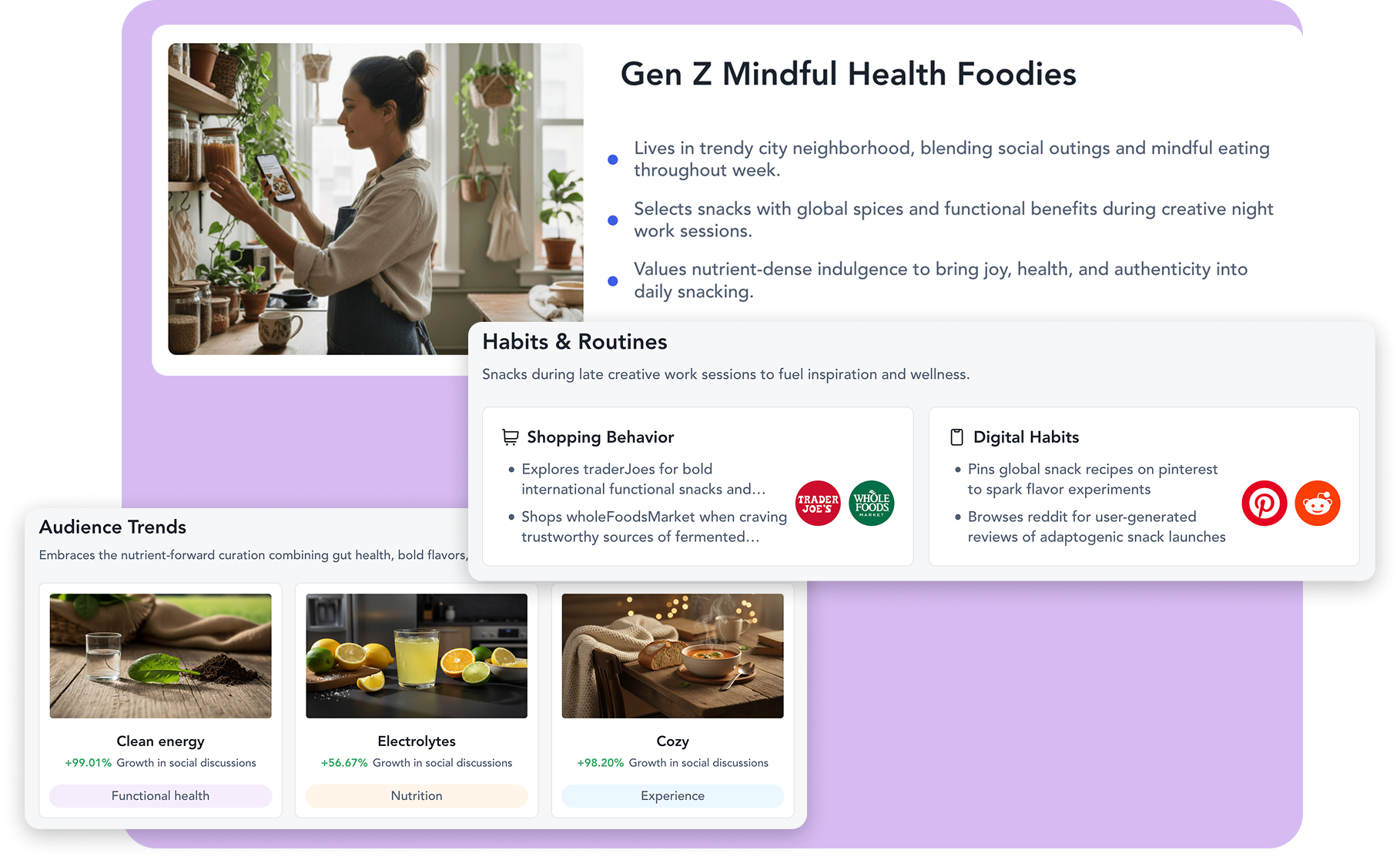 Custom Audiences interface